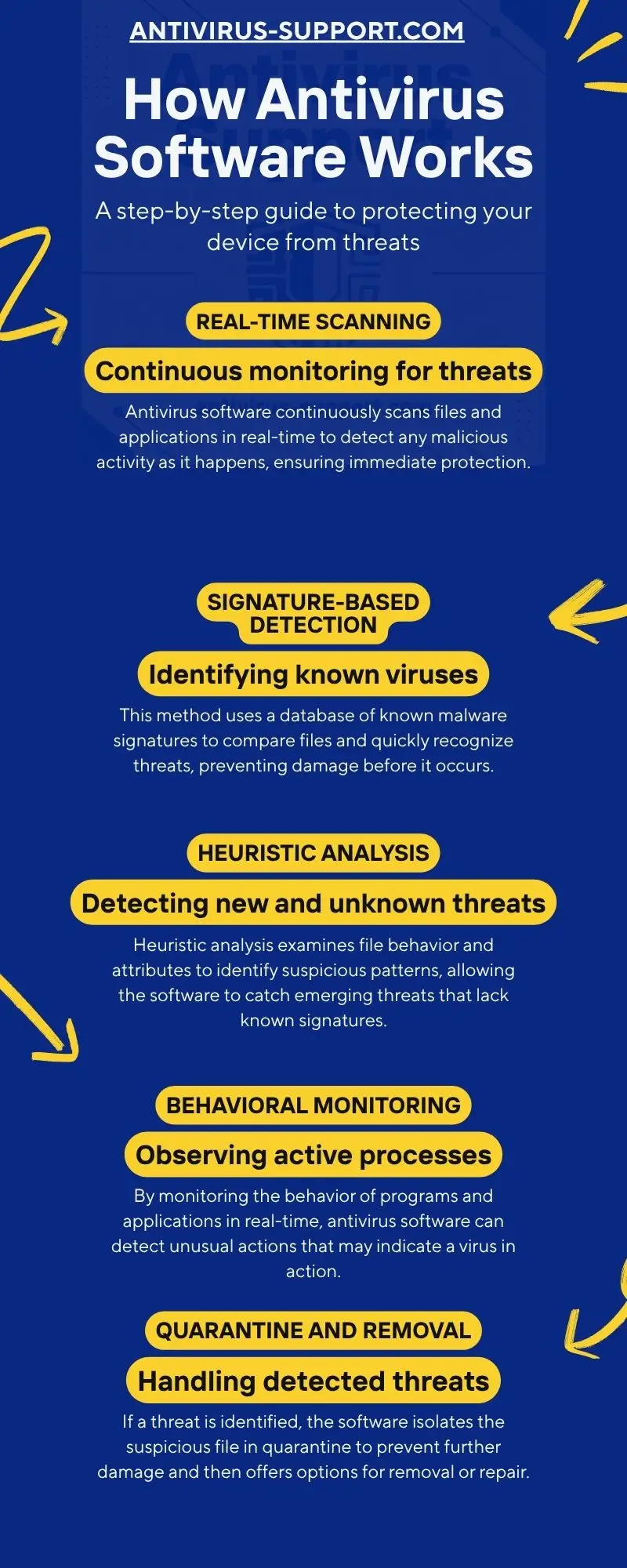 Antivirus process infographic showing steps